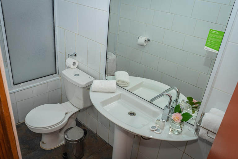 Bathroom 4, Hotel Museo El Greco Puerto Varas, Llanquihue