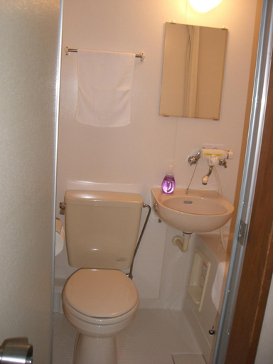 Bathroom 3, Nagomi-tei, Hakuba