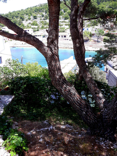 Others 3, Apartment Teuta, Vodice