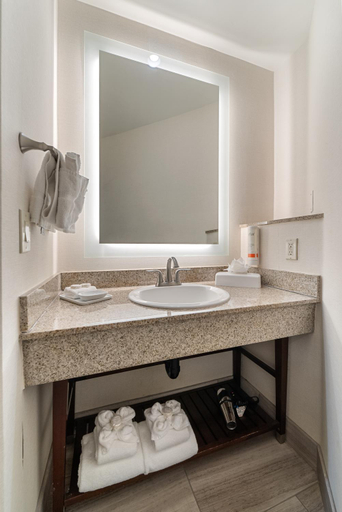 Bathroom 4, Humphreys Half Moon Inn, San Diego