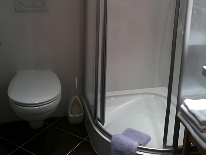 Bathroom 2, Haus Senoner, Kitzbühel