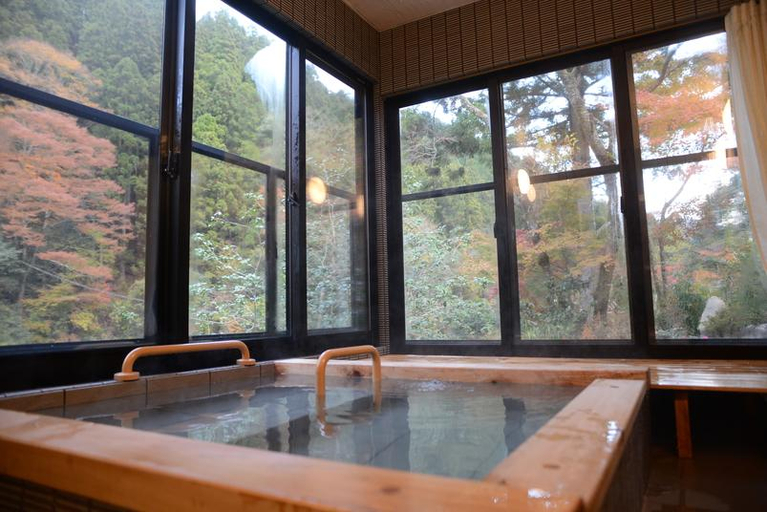 Bathroom, Goroku Onsen, Tsuno