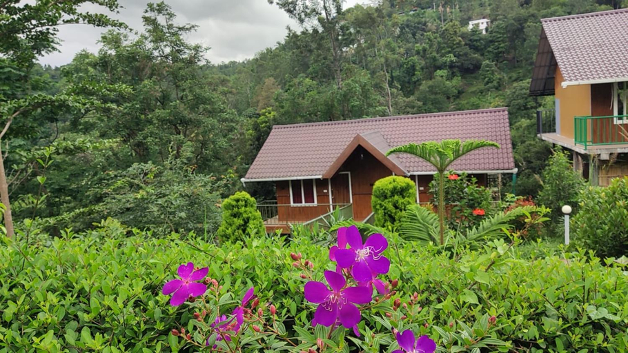 Others 5, Don's River Valley Jungle Resort, Idukki