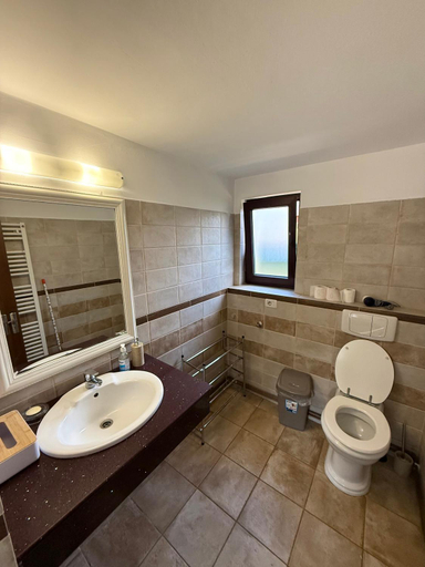 Bathroom 2, Dor de munte, Borsa