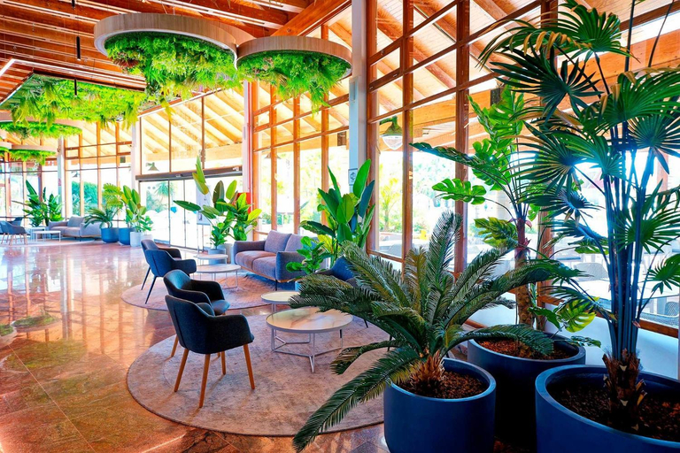 Public Area 2, Monte Feliz, Las Palmas