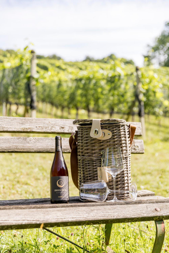 Food & Drinks 4, Monschein Weingut Straden, Südoststeiermark