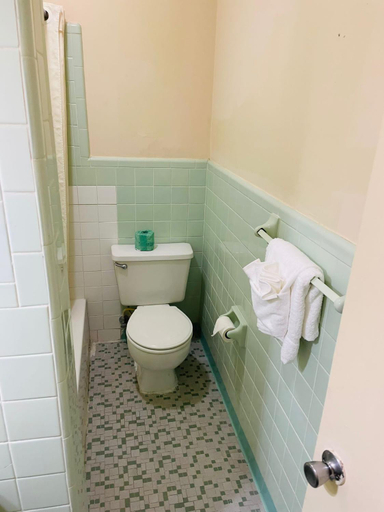 Bathroom 2, Regent Motel, Dougherty
