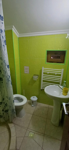 Bathroom, Casa Reginei, Cartisoara
