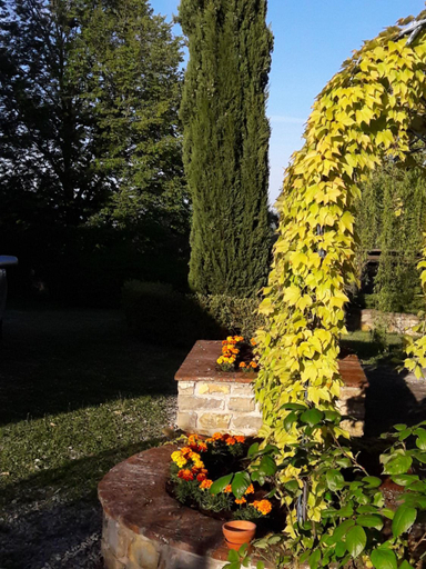 Others 5, Le querce felici, Terni