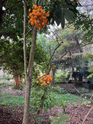 Others 3, Photharam126 Resort, Photharam