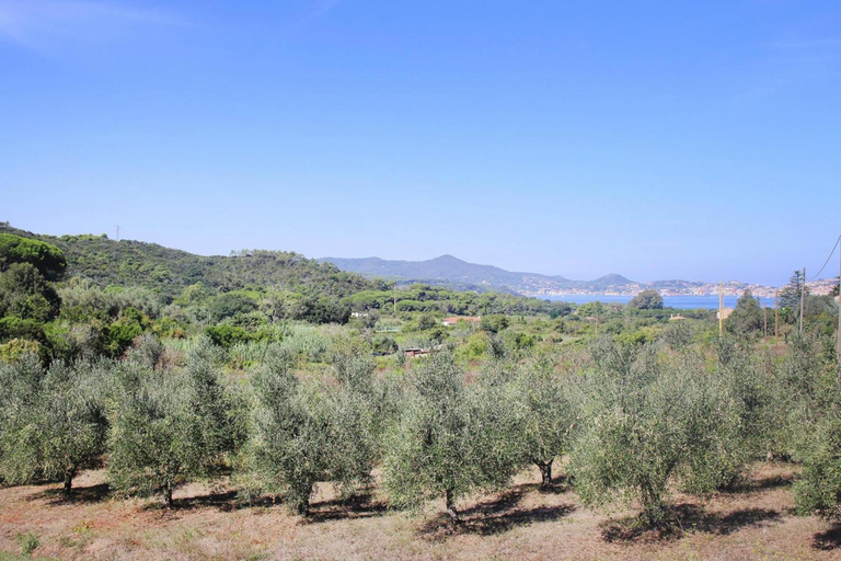 Others 4, Holiday Home in Magazzini near the Beach, Livorno
