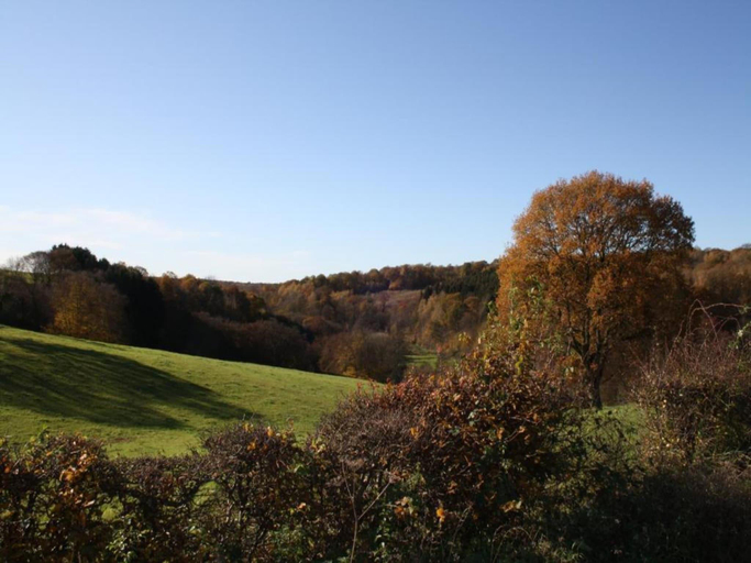 Others 5, Chimay Nature Hideaway, Hainaut