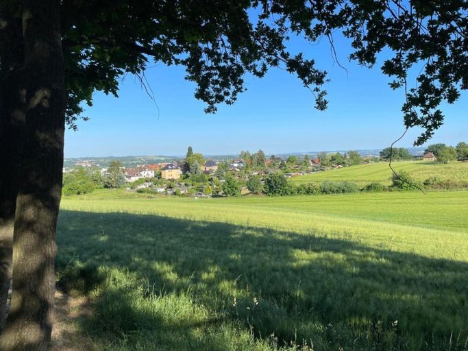 Others 2, City Stay in Zwickau, Zwickau