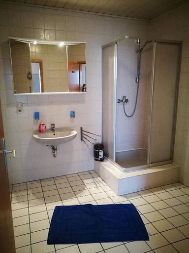 Bathroom 5, Ferienwohnung Kiefer, Westerwaldkreis