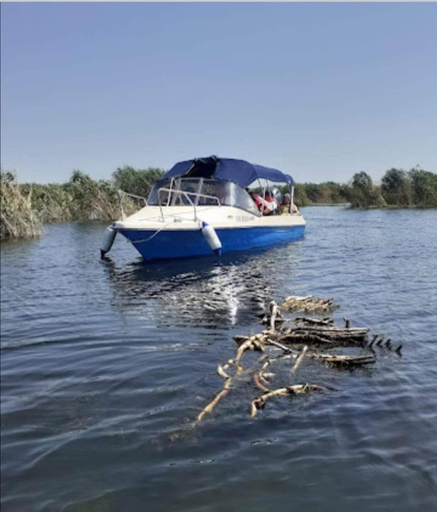 Others 3, La Tavi casute tip camping, Murighiol