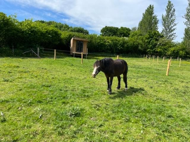 Others 3, Neddys Rest Luxury Horsebox Stay, East Sussex