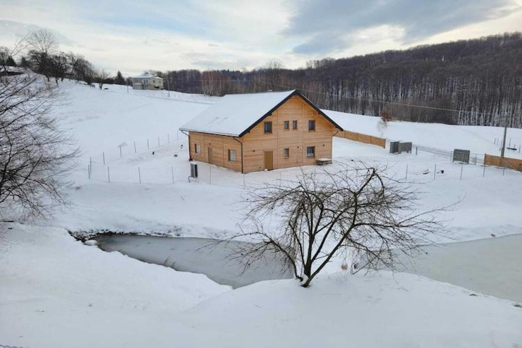 Others 5, Holiday Home in Wisniowa with Pool and Forest, Strzyżów