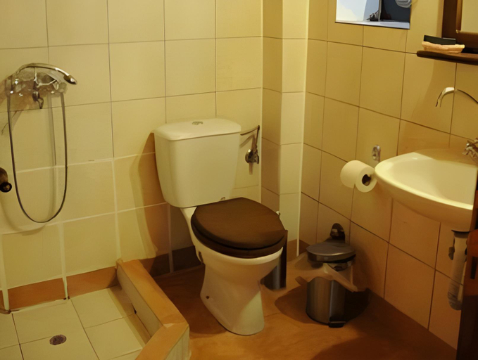 Bathroom 2, Napoleon Zaglis Guesthouse, Epirus