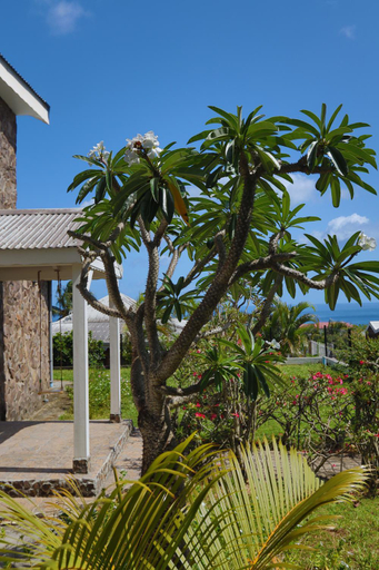 Garden 5, L'Hacienda, Saint-Pierre