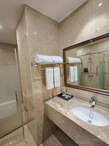 Bathroom 4, Shanghai Xueyuan Hotel, Shanghai