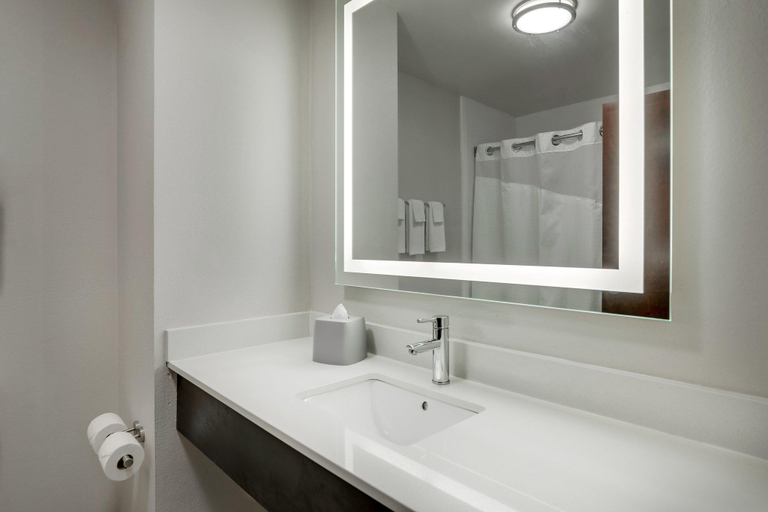 Bathroom 2, Holiday Inn Express Hotel & Suites- Gadsden By IHG, Etowah