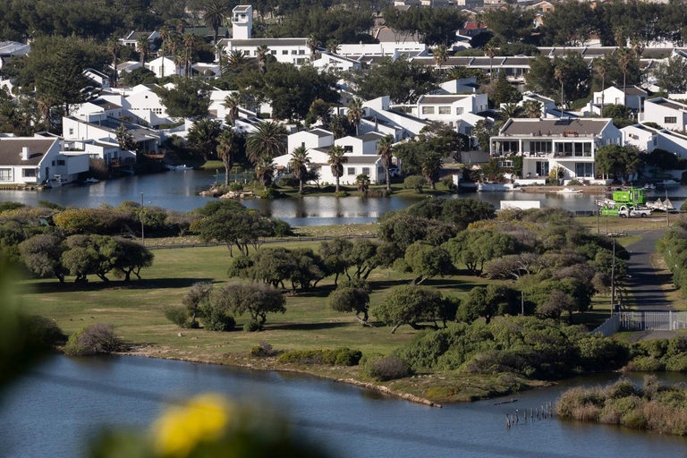 Surrounding environment 5, Vlei Cove Guesthouse, City of Cape Town