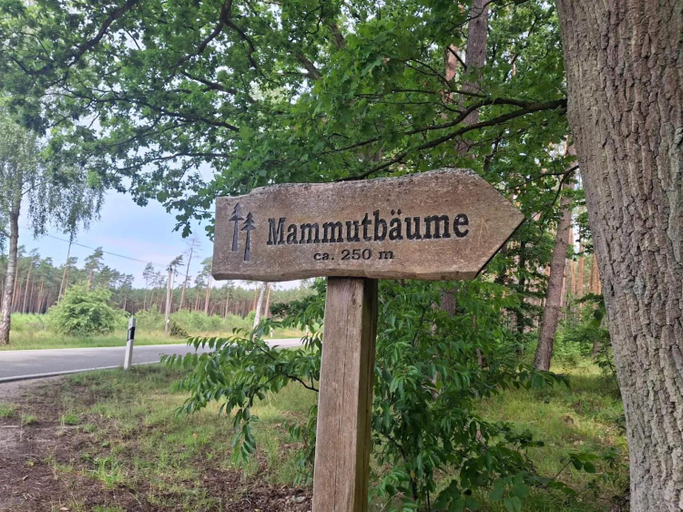 Others 5, Chalet in Wendorf, Ludwigslust-Parchim
