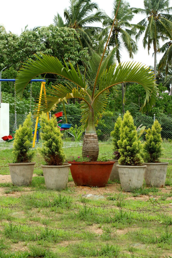 5, Riverfront Villa, Kanyakumari - 1 BH, Kanniyakumari