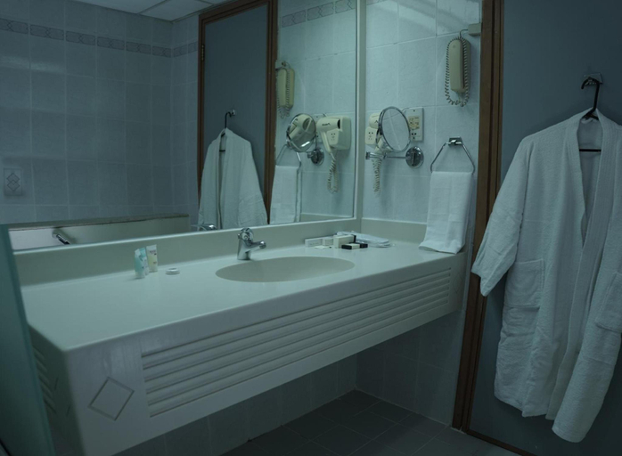 Bathroom, Sun & Sands Seaview Hotel, Dubai