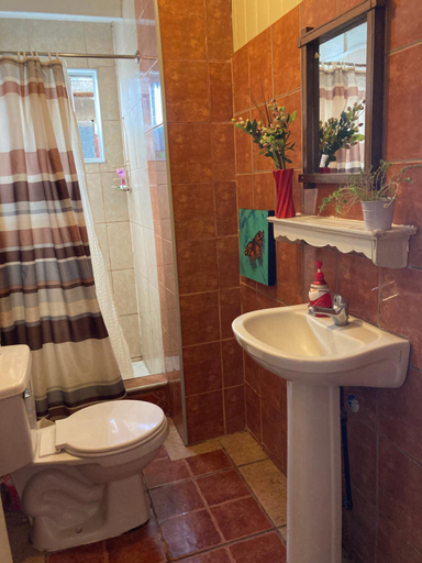 Bathroom 5, Hostal Sol Temuco, Cautín