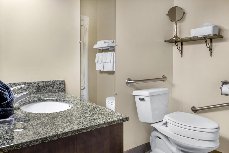Bathroom, Best Western Plus Saint John Hotel & Suites, Saint John