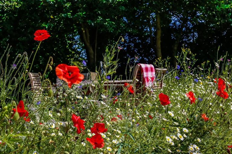 Others 3, Claron Lodge, West Sussex