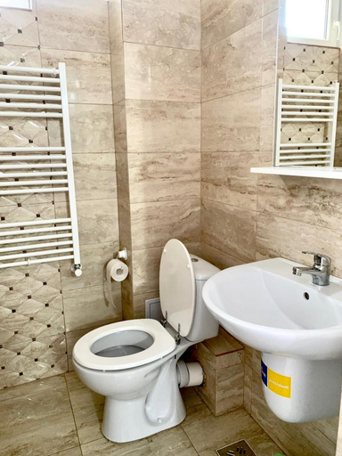 Bathroom 3, Pensiunea ALAS, Sanmartin