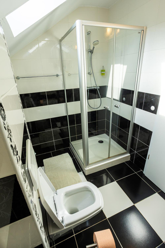 Bathroom 3, CABANA BERNER statiunea Mogosa, Baia Sprie