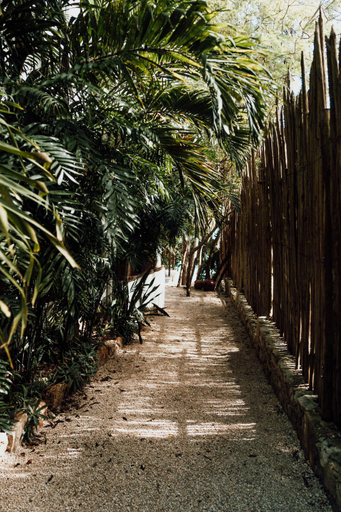 Public Area, Pucte Bacalar, Othón P. Blanco
