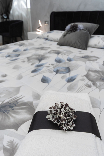 Room 3, Fabiola Guest House, Napoli