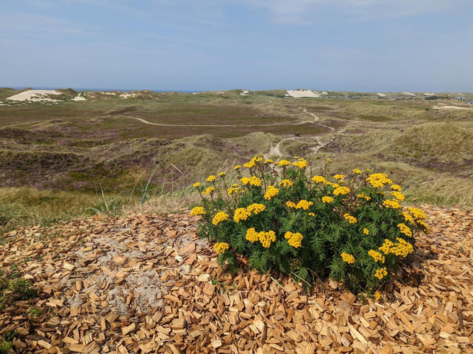Others 4, 4 Star Holiday Home in Hvide Sande, Ringkøbing-Skjern