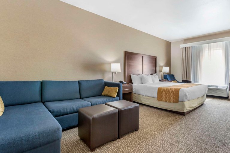 Others 5, Comfort Inn & Suites Mitchell I-90, Davison
