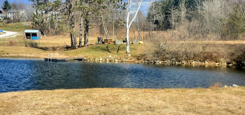 Room 5, Pond View Cabin in Chittenden, Rutland