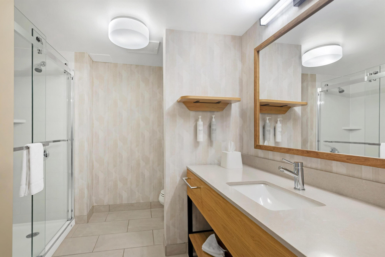 Bathroom 5, Hampton Inn & Suites Plymouth, Plymouth