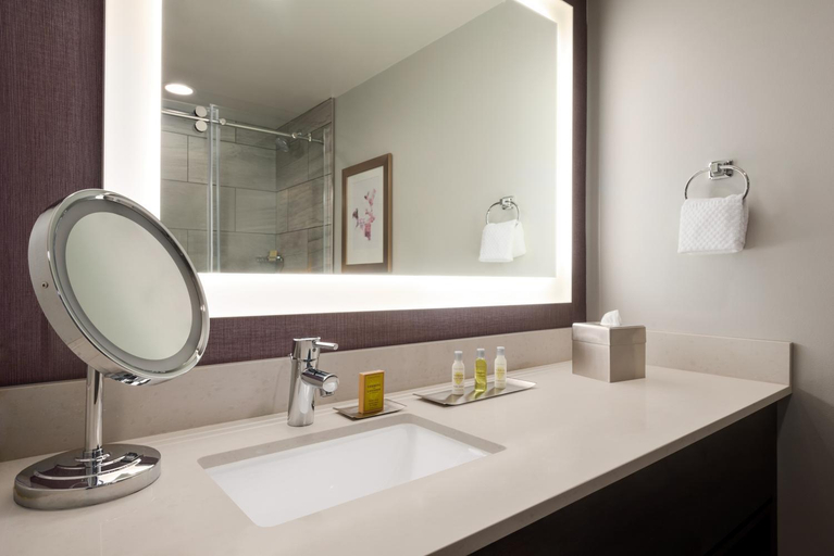 Bathroom 5, Doubletree by Hilton St. Paul East, MN, Ramsey