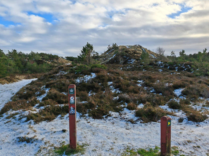 Others 4, 10 Person Holiday Home in Romo, Tønder