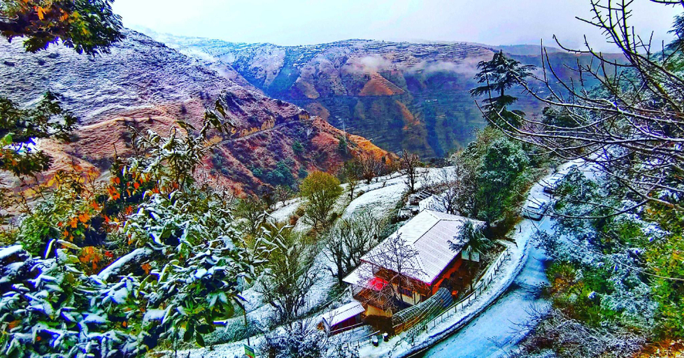 Others 3, chakrata green hotel and camping, Dehradun