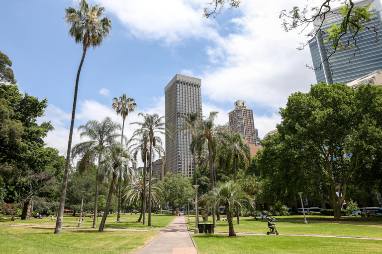 Others 5, Central 1-Bedroom Apartment with City Views, Sydney