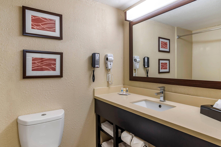 Bathroom 4, Comfort Inn & Suites near Six Flags, Douglas