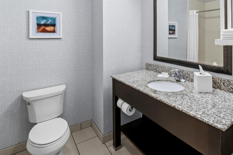 Bathroom 4, Hampton Inn Middletown, Warren