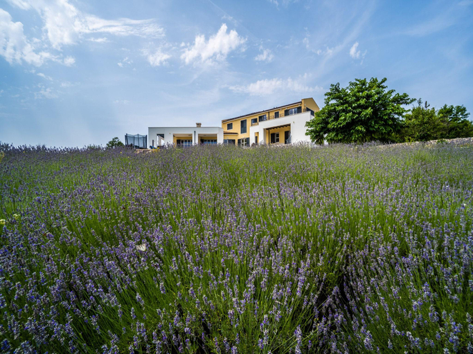 3, Villa in Filipana with Private Heated Pool, Marčana