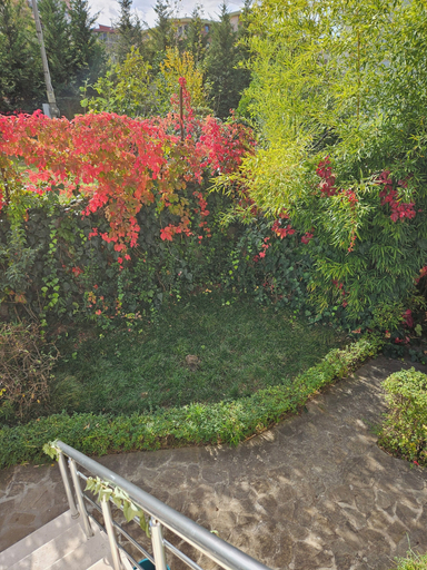 Garden 5, Golden Flower Hotel, Tiranës