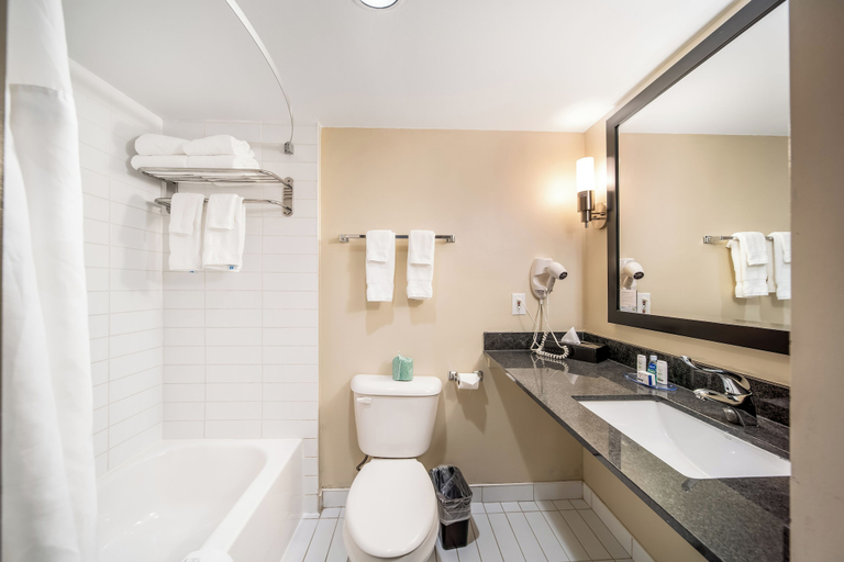 Bathroom 4, Ramada Plaza by Wyndham Niagara Falls, Niagara