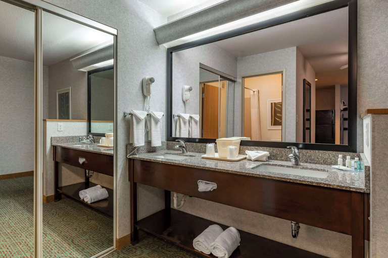Bathroom 5, Quality Inn & Suites Denver International Airport, Adams